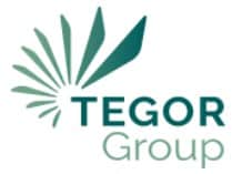 Logotipo de TEGOR GROUP